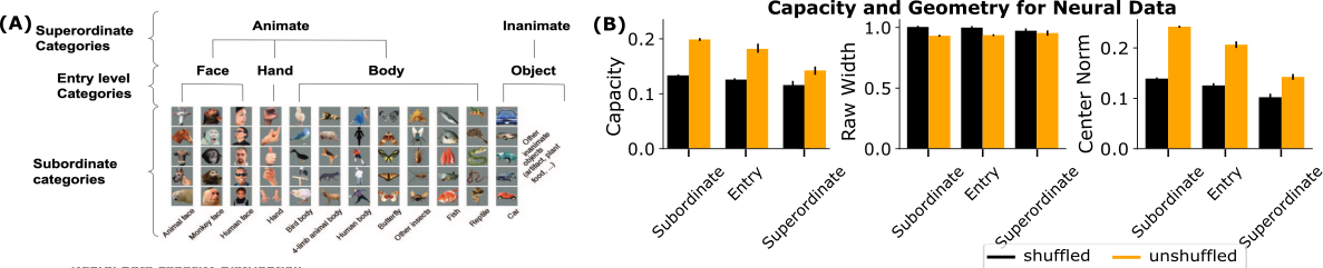 Geometry of Hierarchical Categories in Monkey IT
